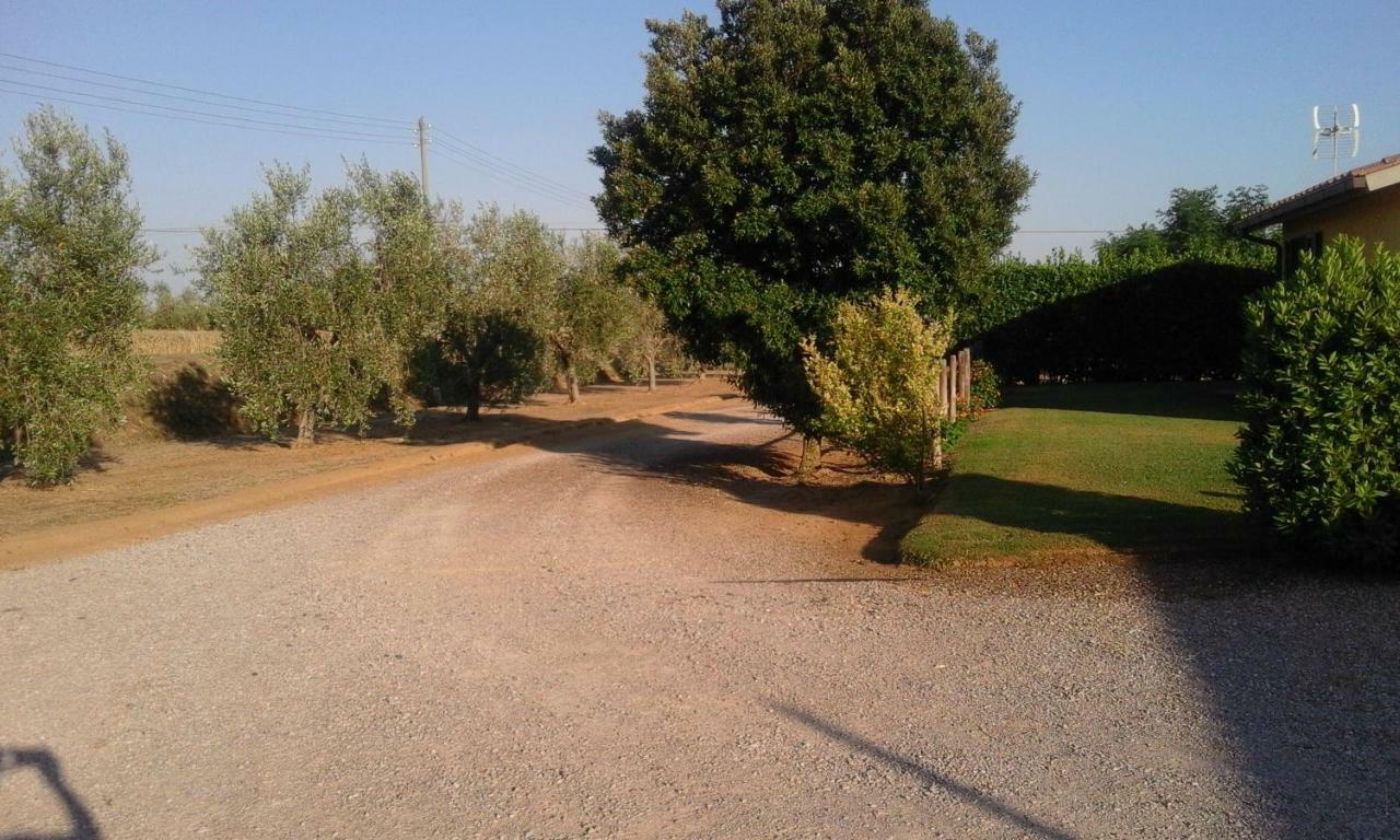 Monolocale Con Giardino Villa Castiglione della Pescaia Exterior photo